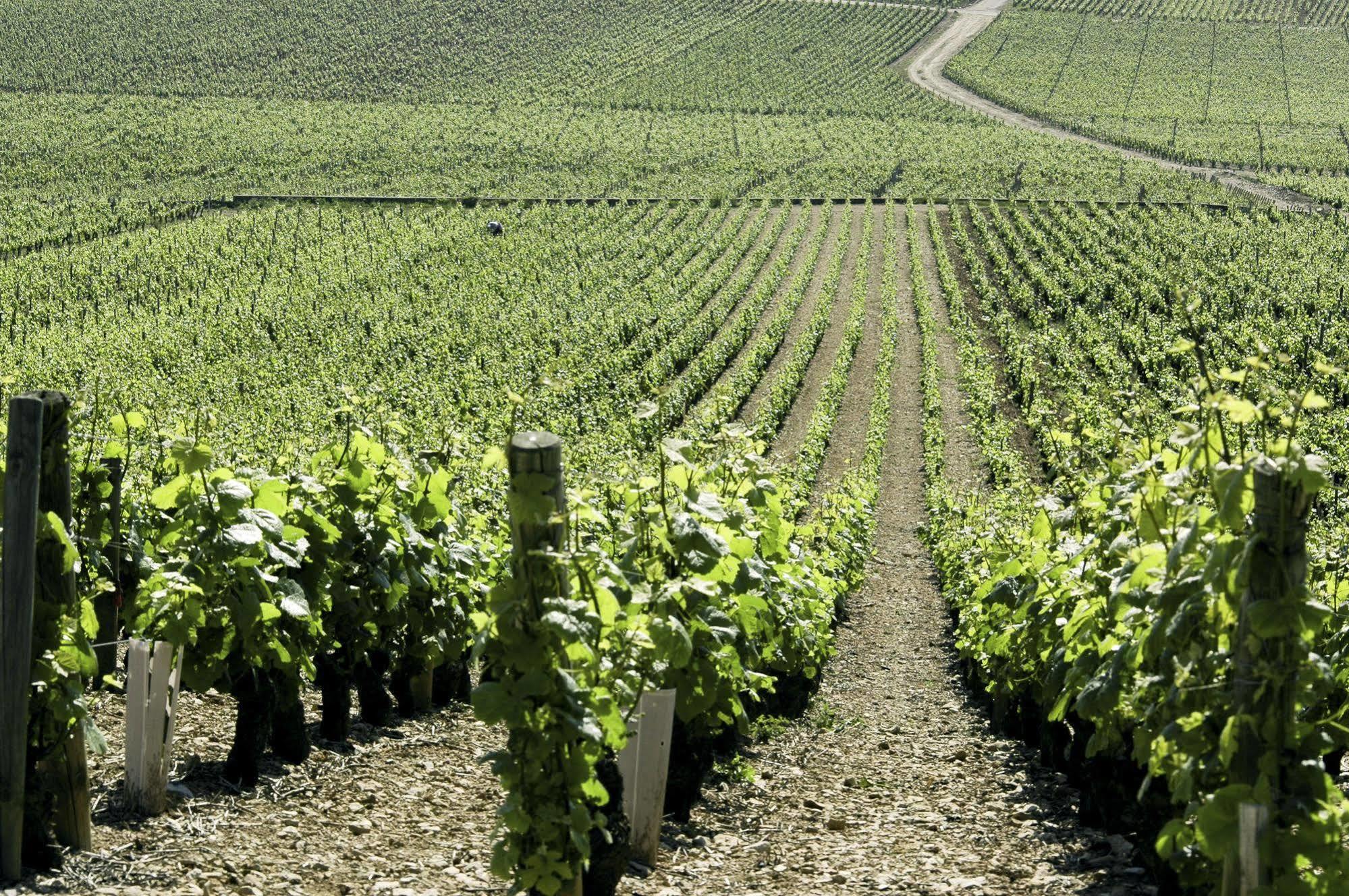 Ibis Budget Pouilly-En-Auxois Exterior foto